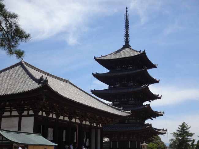 今回　奈良市内で一番楽しみだった　興福寺<br />あの　阿修羅さんに会いに来ました！<br />東京にいらしたときは　会えなかったので、感無量です<br />ものすごく近くで　ずーと見つめていました<br />幸せです