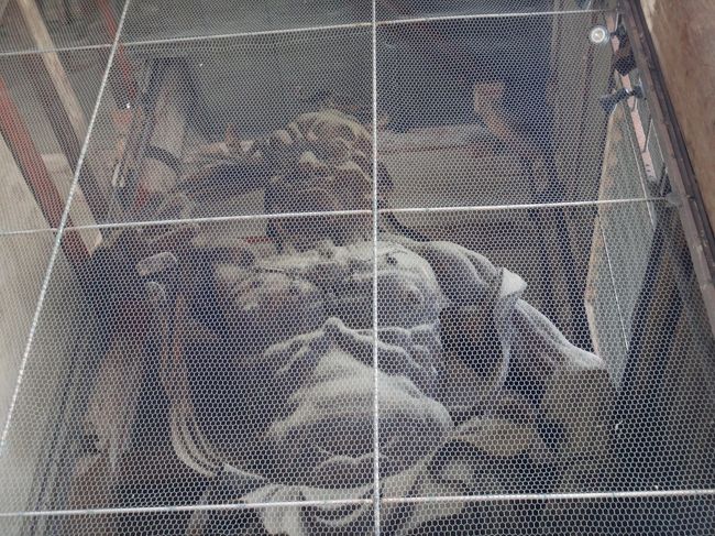 かっこいいです<br />南大門の仁王様