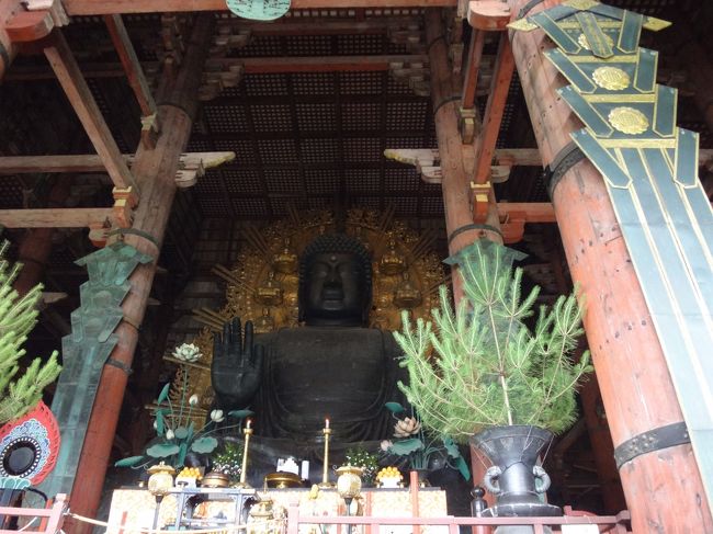 写真　ＯＫでした<br />うれしいです<br />大きいですね<br />