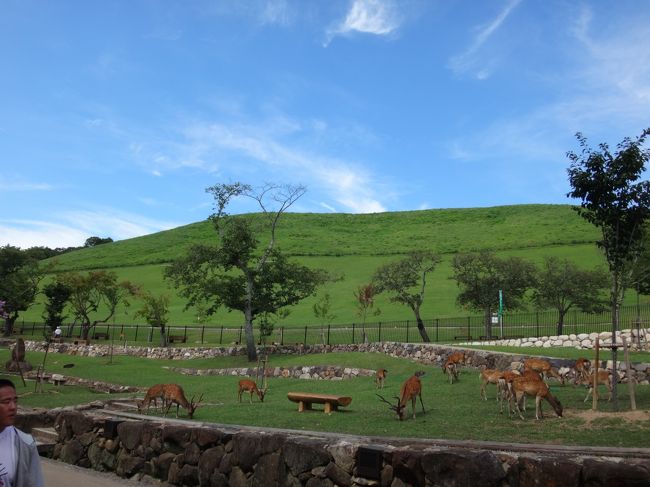 若草山　きれいですね<br />暑いためか　鹿さん以外人はいませんでした