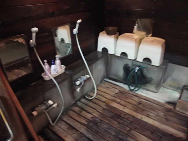 洗い場です。<br />シャワーのお湯も温泉・・・なんてこともたま〜にありますが、ここは普通のお湯でした。<br />シャンプー・リンス・ボディーソープも揃っています。<br /><br />大衆浴場に行くと、シャンプー類が置いてあっても安そうな業務用リンスinシャンプーとかだったりしますが、ここに置いてあったのは一般家庭で使う市販の物でした(・∀・)<br />女性は(特にこだわりが無ければ)洗顔フォームだけ持参すればOKだと思います。