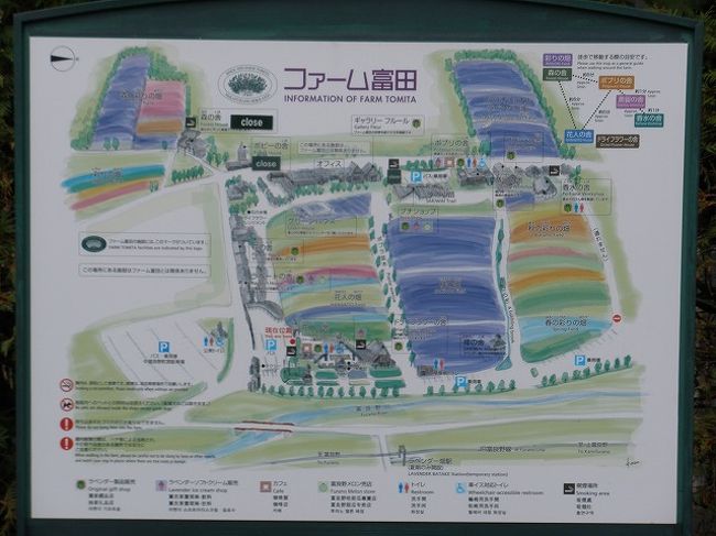 北海道縦断 6 美瑛四季彩丘 ファーム富田と新富良野プリンスホテル 富良野 北海道 の旅行記 ブログ By Donkyさん フォートラベル 北海道縦断 6 美瑛四季彩丘 ファーム富田と新富良野プリンスホテル 富良野 北海道 の旅行記 ブログ By Donkyさん フォートラベル