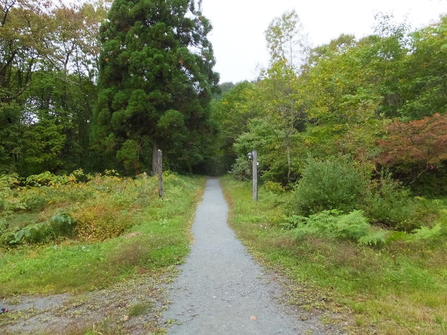 裏口を出た所からの写真です。この道を進んでいきます！