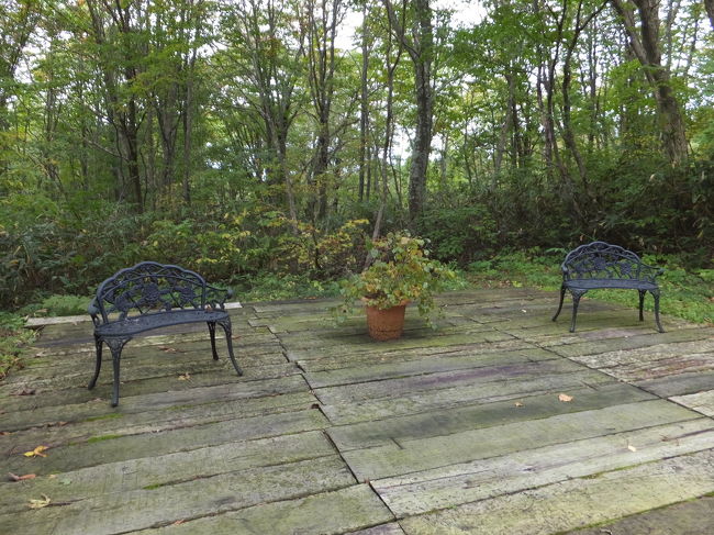 途中には素敵なベンチ♪