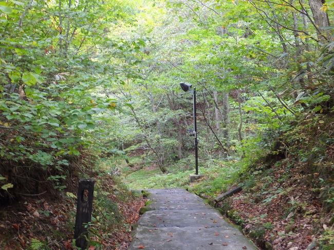 石段を下りていきます。<br />このあたりから、川の流れる音が聞こえてきます。