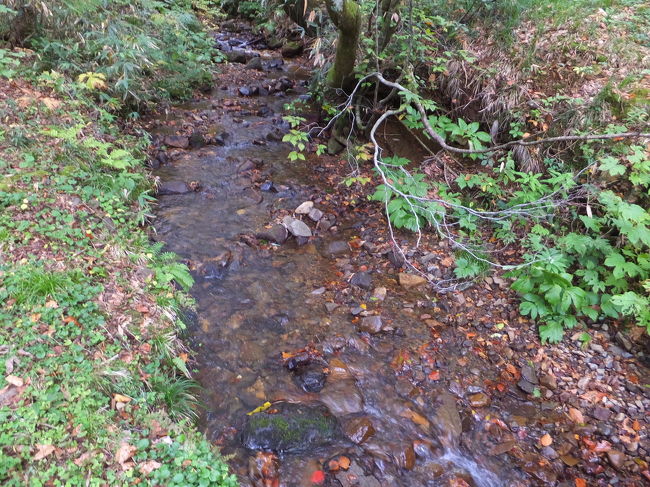 きれいな沢もありました。