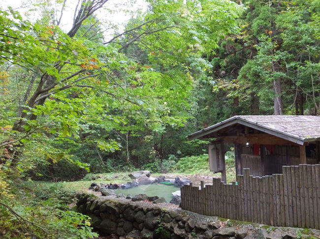 見えました〜♪<br />こちらが混浴露天風呂です。思いっきり自然の中にあります！
