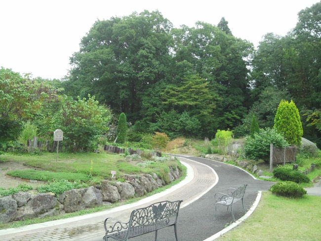 天気が良ければお散歩も気持ち良さそうです♪