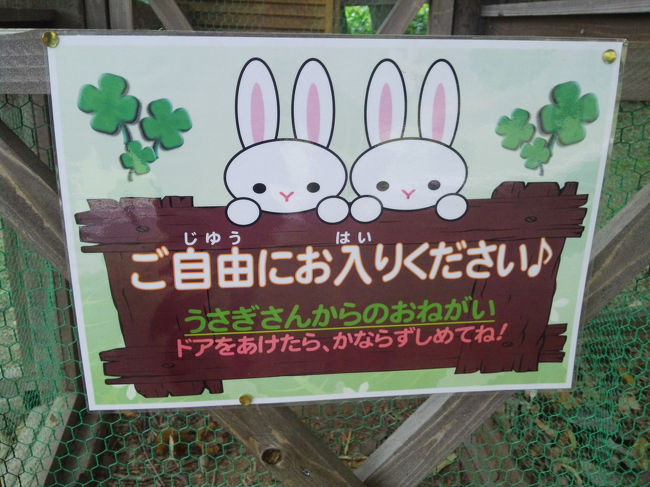 お庭の奥の方にはうさちゃんもいました！