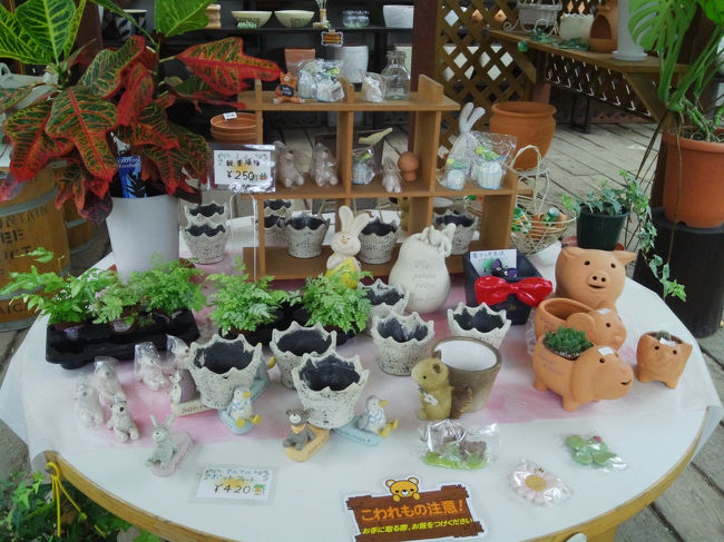 集めたくなっちゃいます♪