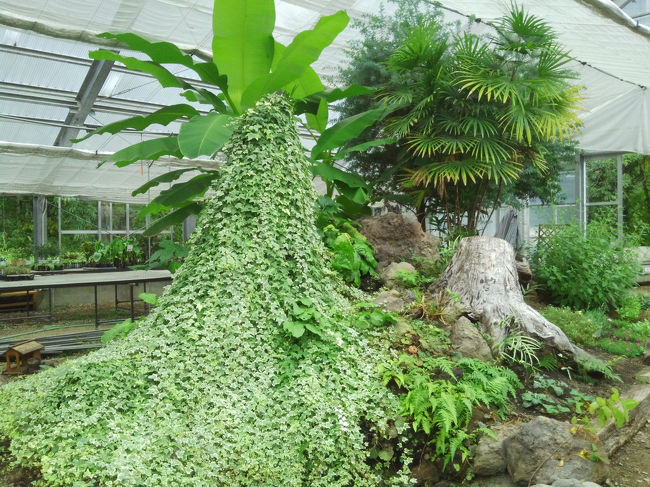 こんなに大きい物もあります。