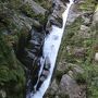 そこに 【もののけ姫】 があります。　屋久島・白谷雲水峡