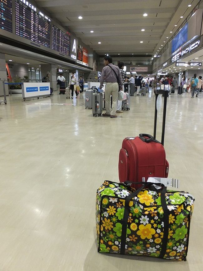 【旅行５日目】<br />この日は成田に８：３０到着で旅行は終了ー。<br />少々帰りが遅くなりましたが、特に問題なし。<br /><br />荷物がお土産でまるまる１つ増えました。（笑）<br /><br />今回一人で旅行して感じたこと・・・。<br /><br />仕事が激務すぎて、ちょっとくらいの刺激じゃ物足らなくなっていて一人旅を強行しましたが、結構できるもんですね♪<br /><br />でも、予習はしないよりした方が良いです。<br />地図無しでも歩けるくらい土地勘つけて行きました。（笑）<br /><br />すでに次はどこへ行こうかウズウズしています。<br />やっぱりホーチミンですかね？<br /><br /><br />