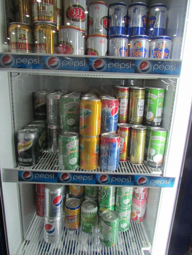 いろいろな珍しい飲み物がいろいろあったので・・・飲んでみることに