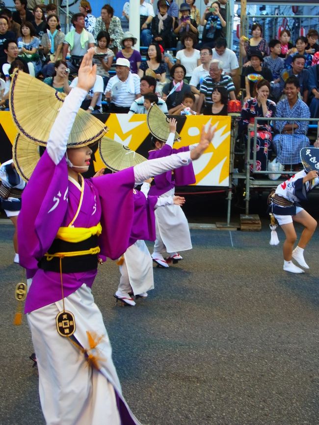 色んな連がすてきな踊りを見せてくれます。