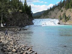 ボウ滝（Bow Falls）に到着です。
滝と言っても、落差はほとんどなく、川の一部という感じです。