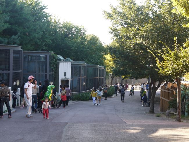 トラ・ライオン・オオカミなど<br />猛獣系も充実。<br />キリンがいなかったのはなぜでしょう?