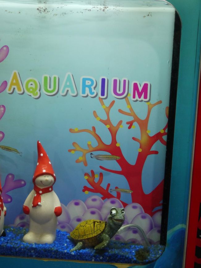 家族と合流しCOEXアクアリウムへ。<br /><br />COEXモールからは歩くので<br />COEXインターコンチネンタルから向かったほうが<br />近くてよいかも。