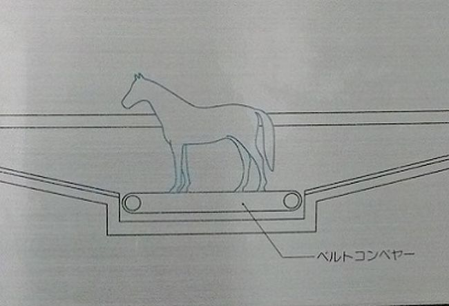 福島:いわき】 馬の温泉 ~ JRA競走馬総合研究所常磐支所 福島:いわき】 馬の温泉 ~ JRA競走馬総合研究所常磐支所