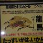 「誘遊四国」（3）ひろめ市場・高知桂浜・四万十川に沈下橋　ところで麒麟が龍馬か？　