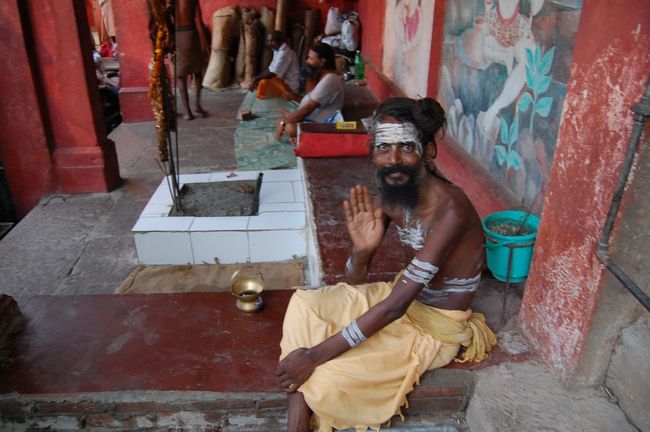 いる！こういう人なんかいる！！<br /><br />つい私も手を挙げてしまった・・<br />