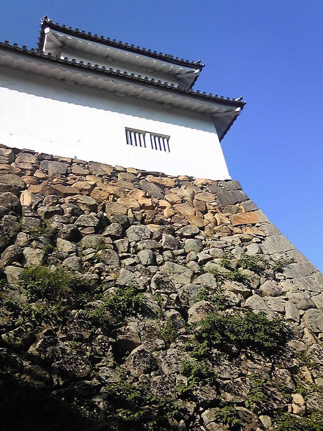 彦根城の天守閣を撮り忘れて、櫓です。