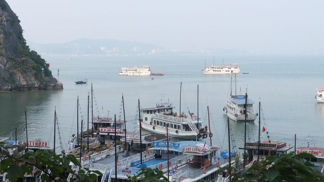 ツアーもそろそろ