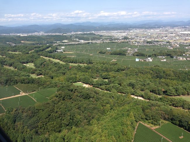 お茶畑。静岡らしい光景。<br />今年は終わりかなこれで。<br />さ、日常に戻りますか。<br />　　　　終わり。