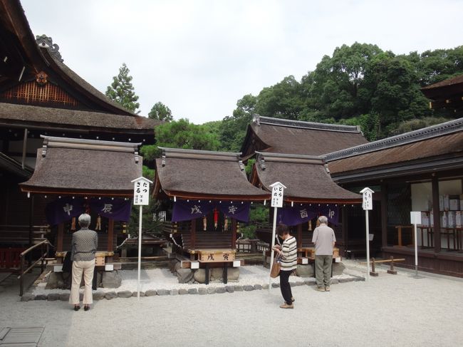 干支参りしました<br />ここには　干支ごとにお社があって<br />自分の干支をお参りします