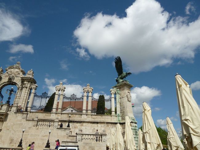 下から見上げてみた。