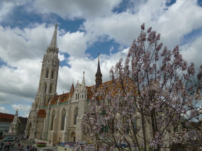 マーチャーシュ聖堂<br />お花が咲いている木とのコラボがGood！
