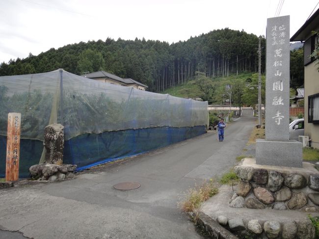 円融寺に着いた。