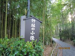 「竹林の小径」
きれいに整備された竹林の道。