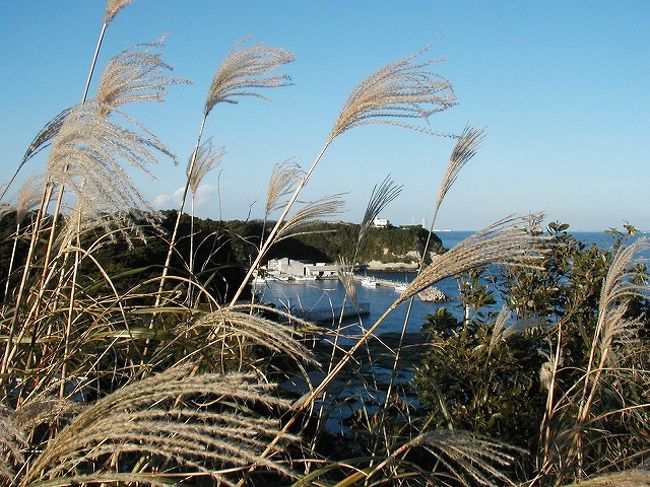 松輪サバに魅かれて三浦半島の 秋 探訪 三浦海岸 三崎 神奈川県 の旅行記 ブログ By Donkyさん フォートラベル 松輪サバに魅かれて三浦半島の 秋 探訪 三浦海岸 三崎 神奈川県 の旅行記 ブログ By Donkyさん フォートラベル