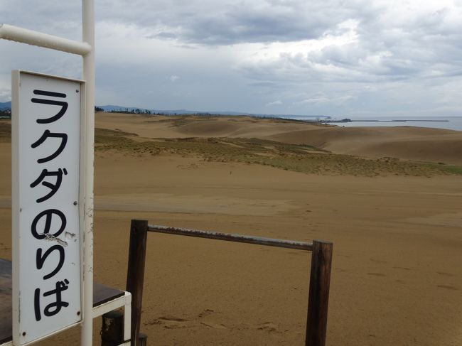 朝早かったのでラクダはまだおらず