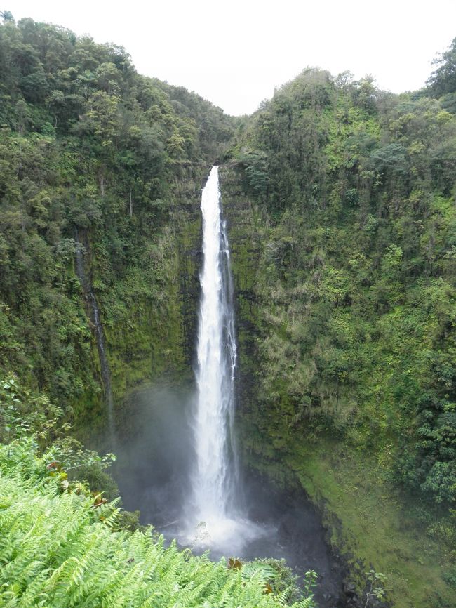 ガイドの方とホテルフロントで待ち合わせをし、まず向かったのは「アカカの滝」<br />まぁ、普通に滝です（笑）<br />マイナスイオンは感じましたけどね。