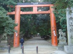 手向山八幡宮へ