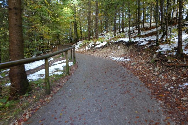 マリエン橋まで、最後は徒歩です<br />結構急な上り坂！