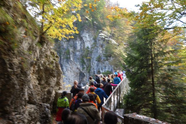 マリエン橋<br />木製だし、人多いし、ミシミシするし…<br />信用できない感じがバンバン出てたけど。<br />