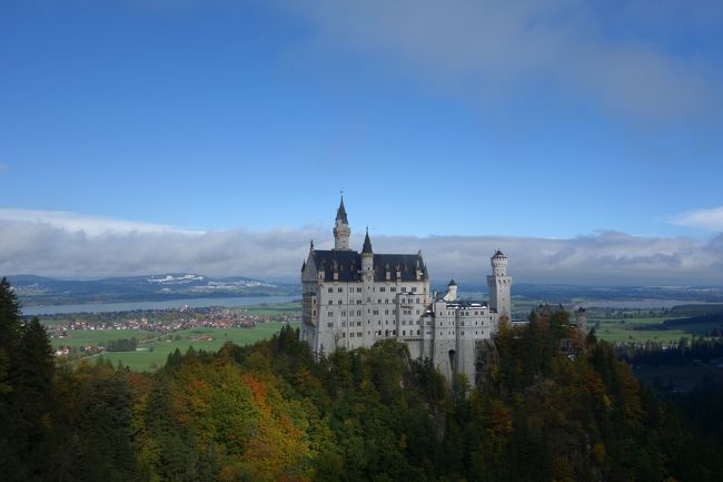 やっぱり天気って大事!!!<br />でもこれだけは運任せ