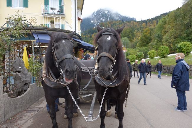 馬車もあります<br />帰り乗ったんだけど、ちょっと匂う…<br />