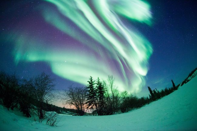 どんどん、オーロラが重なり合って、明るくなってきます。
