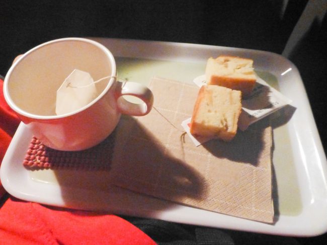 22時頃から1時半くらいまで、オーロラを堪能しました。車内で紅茶とケーキをいただきながら、大塚さんのいろいろな面白い話を聞きます。ほっとする瞬間です。