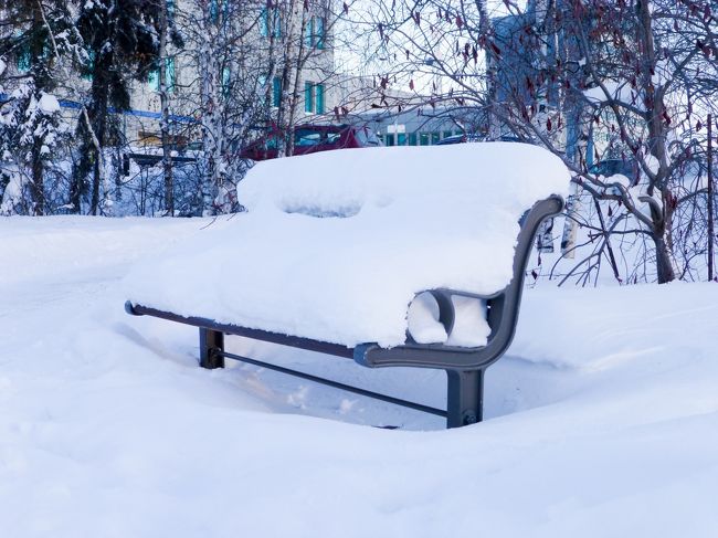 夏だったら、このベンチに寝転びたい。