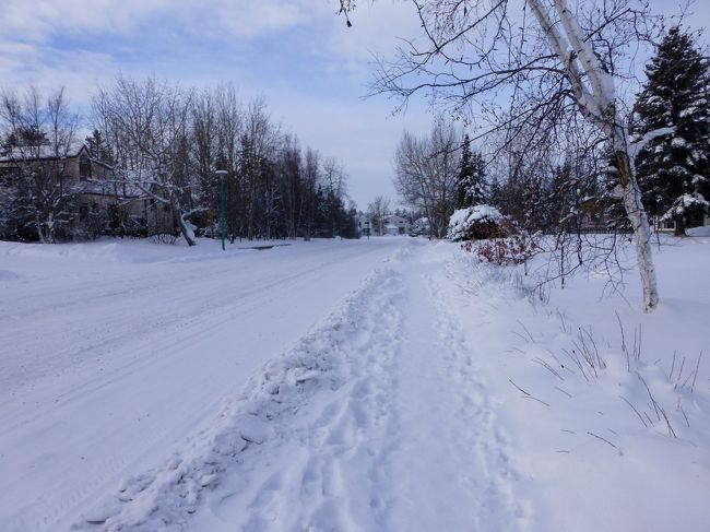 フランクリン通りから外れると、静かな通りになります。