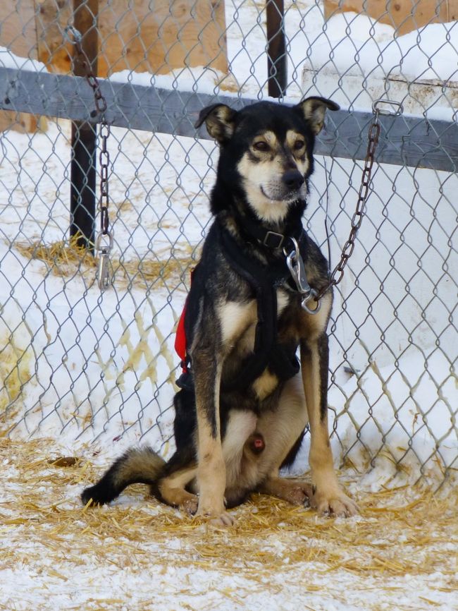 走らせてもらえず待ちぼうけ。
