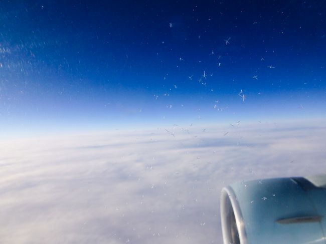 右側の窓側の席でしたが、オーロラは見えず。<br />今回も、イエローナイフのオーロラを堪能できました。友人たちも一緒にすごいオーロラを見られてよかったです。