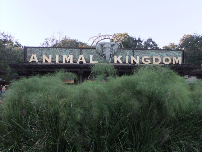 アニマルキングダムの入口