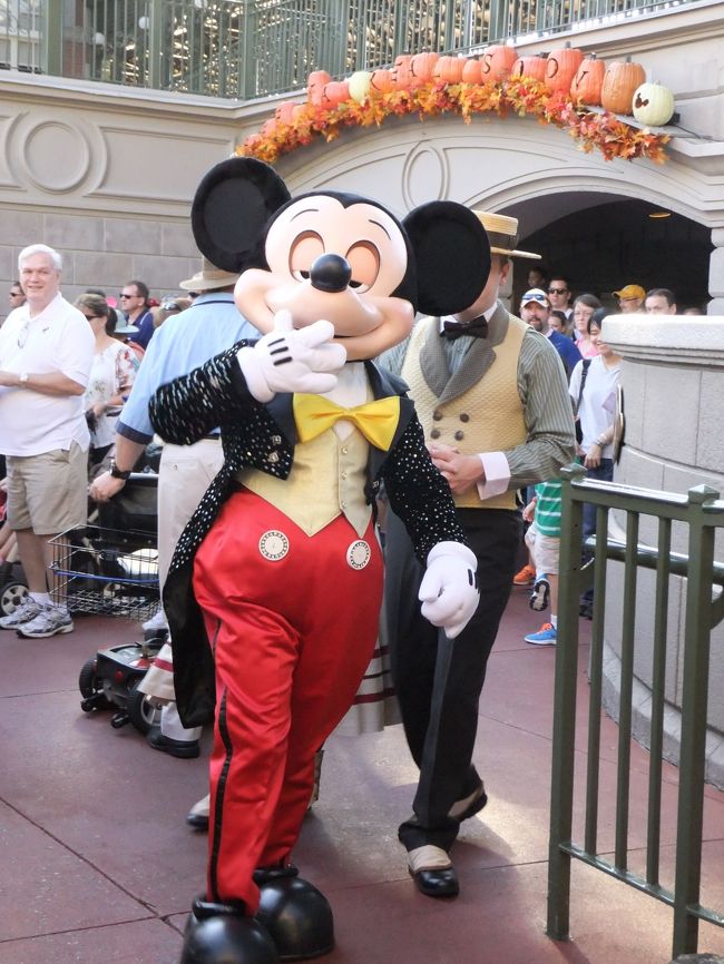 マジックキングダム　開園前登場後、裏へ帰るとこのミッキー