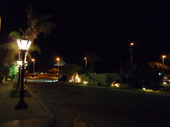 ホテル前ですが暗くてこの時は遠くは何も見えなかったのですが・・・